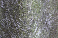 Struell fibreglass roof work